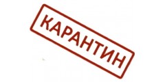 Условия работы Паркет Центра в период карантина