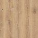 Ламінат AGT Natura Line Ilgaz Oak 507